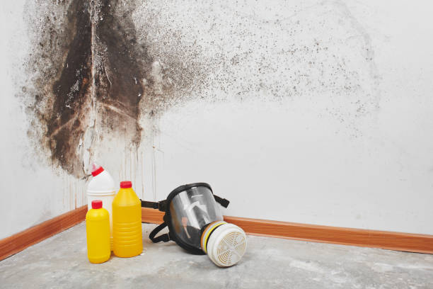 Best Mold Testing  in Gervais, OR