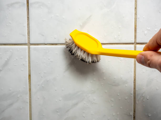 Best Toxic Mold Removal  in Gervais, OR