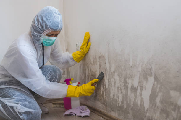 Best Mold Testing  in Gervais, OR
