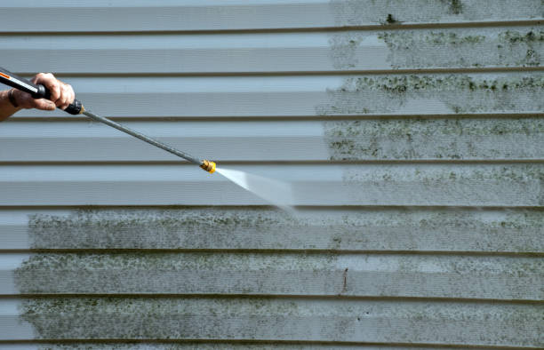 Best Local Mold Removal Service  in Gervais, OR