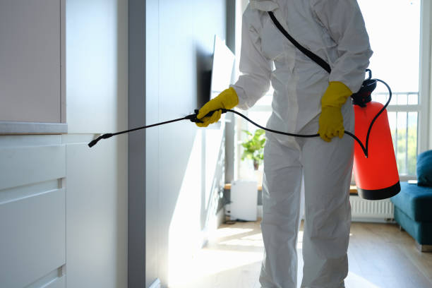 Office Mold Removal Services in Gervais, OR