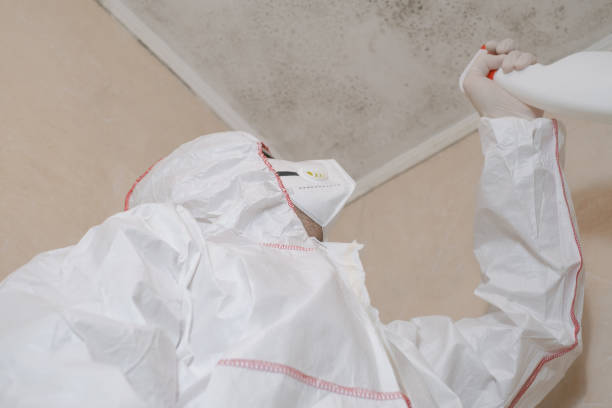Best Affordable Mold Removal  in Gervais, OR